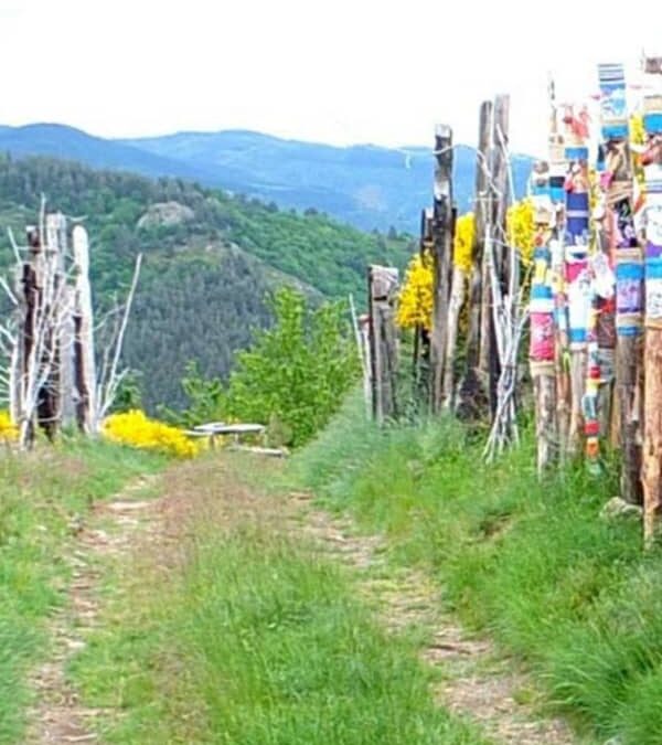 Chemin des dragonnades